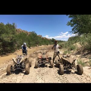 Meet your Posher, George